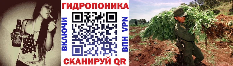 Канабис сатива  купить наркотики цена  Стародуб 